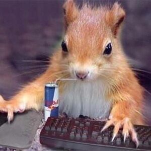 Meet your Posher, Alisha